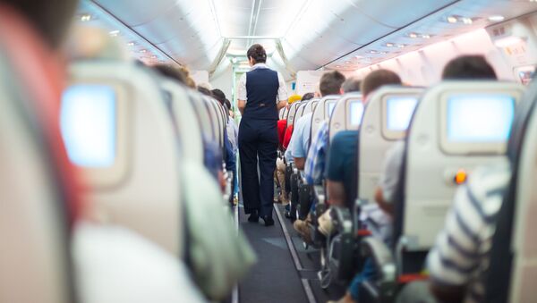 飛行機の乗客がパニックに　隣の乗客に噛み付き、死亡 - Sputnik 日本