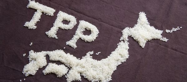 米元財務長官 「TPP離脱は重大な誤り」 米元財務長官 「TPP離脱は重大な誤り」 - Sputnik 日本