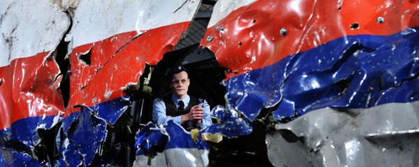 MH17に関する国際的な調査:無視された事実は考慮されているものよりもはるかに多い MH17に関する国際的な調査:無視された事実は考慮されているものよりもはるかに多い - Sputnik 日本