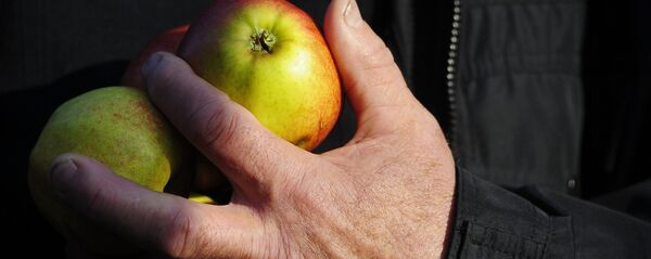 リンゴを持っている男性 - Sputnik 日本