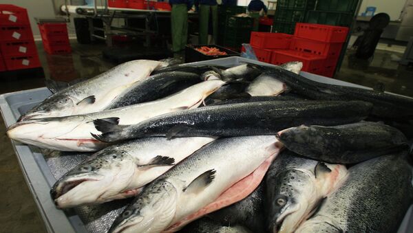 ロシア流し網漁禁止で日本が蒙る損害額は… - Sputnik 日本