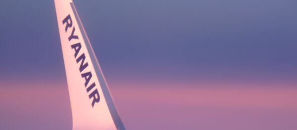 機内で隣の席に自分の「そっくりさん」が... 機内で隣の席に自分の「そっくりさん」が... - Sputnik 日本