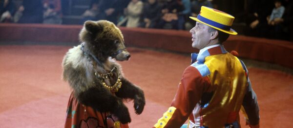 モスクワ大サーカス　15年ぶりに来年完全引越し公演 - Sputnik 日本