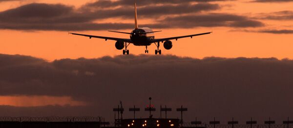 エジプトのシナイ半島でロシアの旅客機が墜落 - Sputnik 日本
