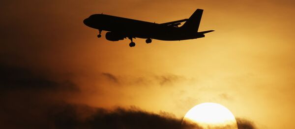 飛行機 飛行機 - Sputnik 日本