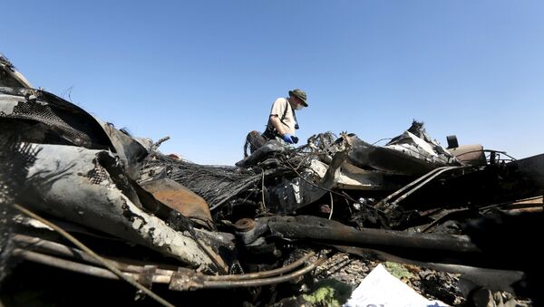 IAC：墜落エアバス321機は空中崩壊した - Sputnik 日本