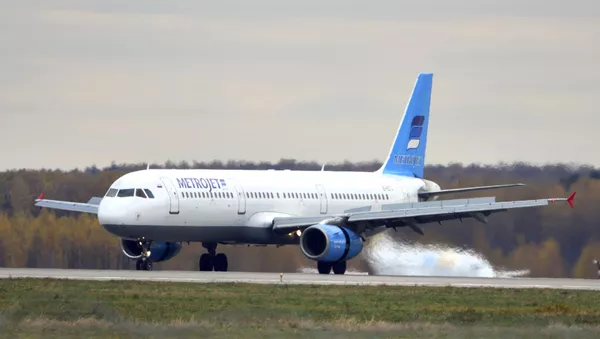 ラヴロフ外相:ロシアとエジプト、航空便再開にむけて合意 - Sputnik 日本