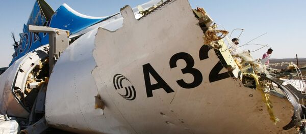 ロシア機墜落事故に関する調査委員会 公式声明に立脚するようメディアに呼びかける ロシア機墜落事故に関する調査委員会 公式声明に立脚するようメディアに呼びかける - Sputnik 日本