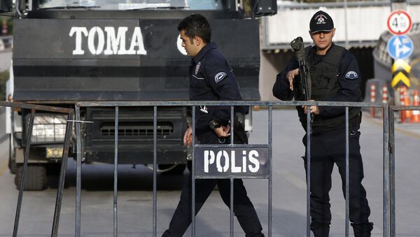 トルコ大統領への非難発言を引用したＣＮＮに警察捜査の手 - Sputnik 日本