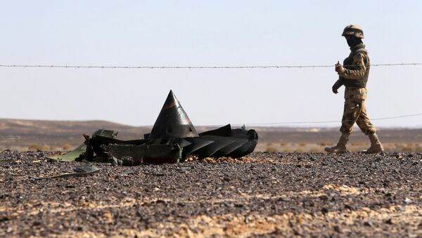 エジプト航空機事故の原因、どの説も排除できない―ロシア大統領報道官 - Sputnik 日本