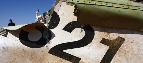 エジプト民間航空相:ロシア機A321型機で爆発が起こった兆候は見つからなかった エジプト民間航空相:ロシア機A321型機で爆発が起こった兆候は見つからなかった - Sputnik 日本