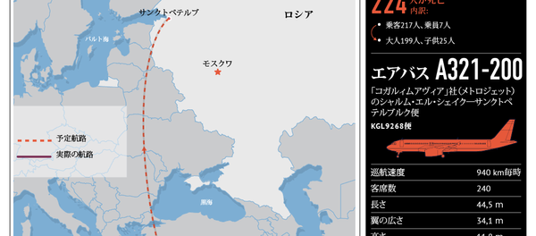 ロシア機のエジプト墜落 ロシア機のエジプト墜落 - Sputnik 日本