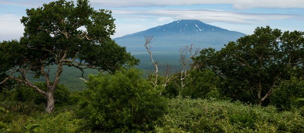 クリル - Sputnik 日本