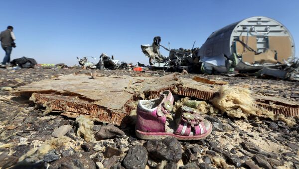 調査委員会、シナイ半島で墜落したロシア機A321の爆発場所を特定 - Sputnik 日本