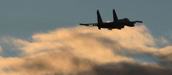 ロシアの戦闘機Su-27 ロシアの戦闘機Su-27 - Sputnik 日本