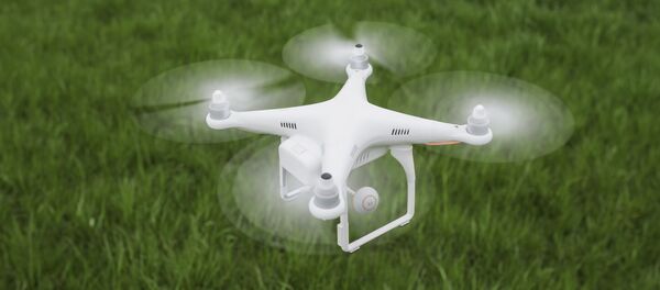 ドローン ドローン - Sputnik 日本