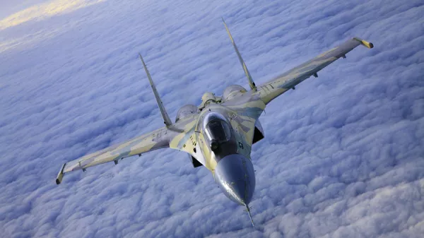 ロシアの「スホイ３５」戦闘機 - Sputnik 日本