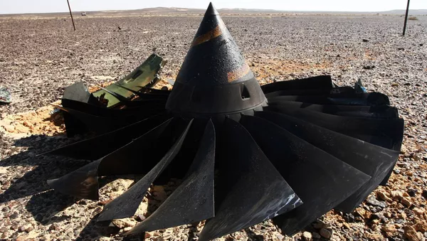ロシア機墜落　マスコミ：機内の爆発物について詳細を発表 - Sputnik 日本
