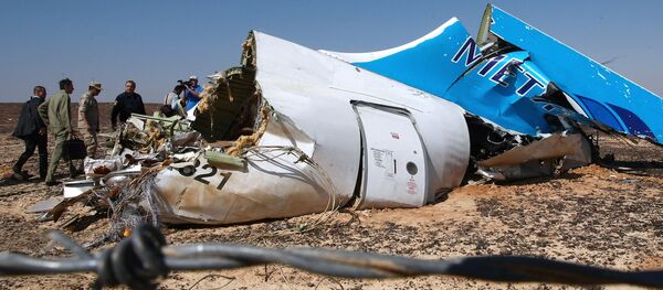 エジプト上空でロシア機を爆破したのはトルコの民族主義組織か？ - Sputnik 日本