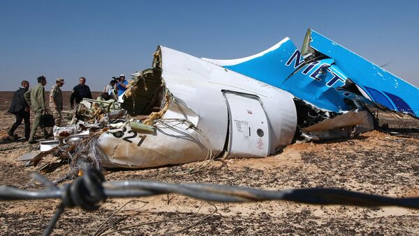 エジプト上空でロシア機を爆破したのはトルコの民族主義組織か？ - Sputnik 日本