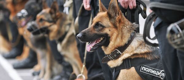 警察、モスクワのタクシー運転手の中にダーイシュ（IS）リクルーターを発見 - Sputnik 日本