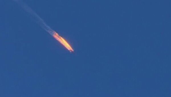 ロシア機スホイ24を撃墜したトルコのパイロットの二人が逮捕 - Sputnik 日本