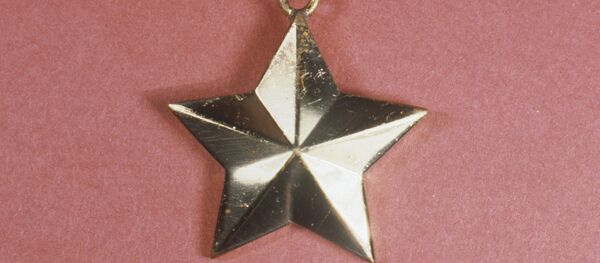 死亡したスホイ２４の主任パイロットにロシア英雄星勲章授与へ - Sputnik 日本