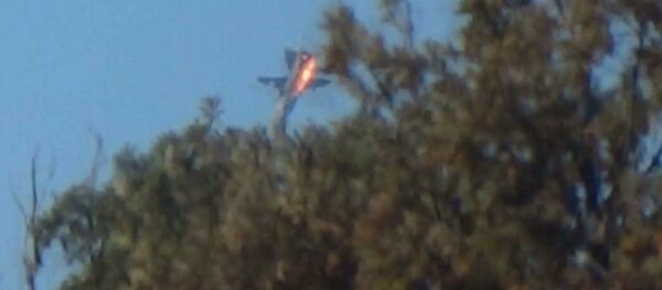 トルコ ロシア機をもう1機撃墜したい トルコ ロシア機をもう1機撃墜したい - Sputnik 日本