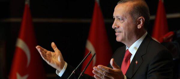 トルコのエルドガン大統領 トルコのエルドガン大統領 - Sputnik 日本