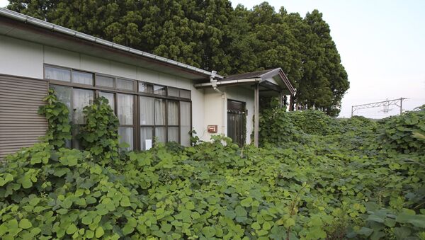 福島県の酪農家自殺　東電が遺族に和解金支払い - Sputnik 日本