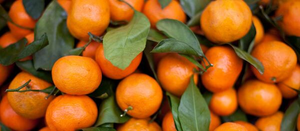 みかん - Sputnik 日本