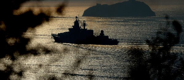 ロケット巡洋艦「ワリャーグ」 - Sputnik 日本