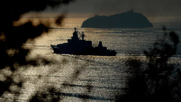 ロシア海軍艦隊ミサイル艦　カスピ海で演習実施 - Sputnik 日本