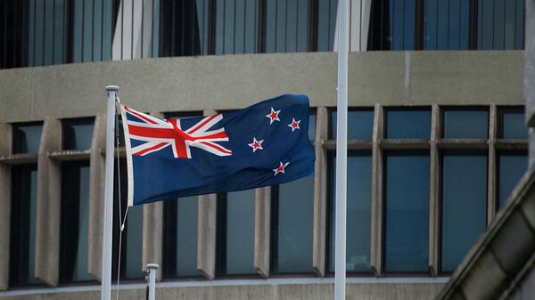 ニュージーランド、日本に捕鯨計画への国際的な抗議書を渡す - Sputnik 日本