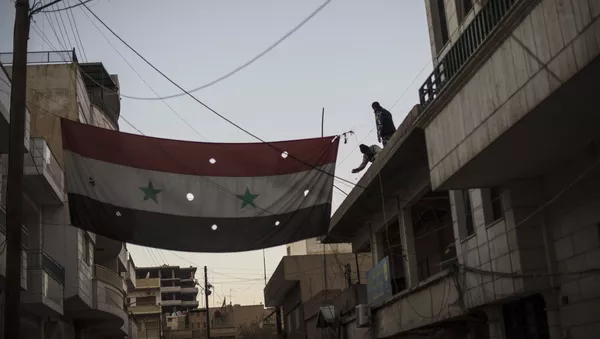 シリア政府軍を「誤爆」事件は対「ダーイシュ」闘争状況の過熱を示す、露外務省 - Sputnik 日本