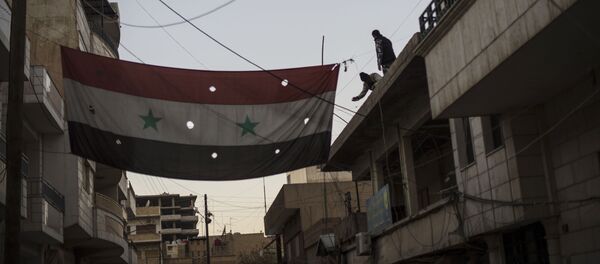 シリア政府軍を「誤爆」事件は対「ダーイシュ」闘争状況の過熱を示す、露外務省 - Sputnik 日本