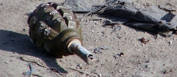 手榴弾 手榴弾 - Sputnik 日本