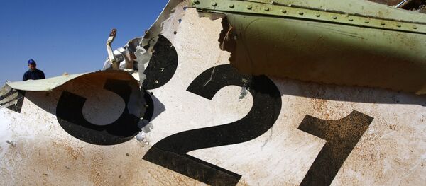 シナイ半島でのロシア旅客機爆破テロ説に新たな証拠 - Sputnik 日本