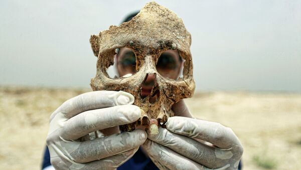 メディア報道：考古学者ら、ポーランドで異常な骨格が埋葬された墳墓を調査 - Sputnik 日本