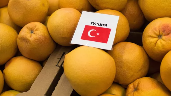 トルコの輸出業者がロシア制裁のあおりを受けて破産する - Sputnik 日本