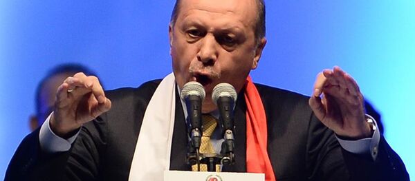 エルドアン大統領 - Sputnik 日本