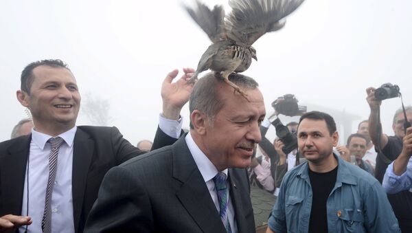 トルコのエルドアン大統領　ヒトラー・ドイツを手本に - Sputnik 日本