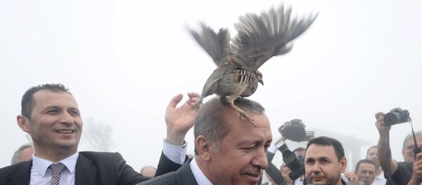 トルコのエルドアン大統領　ヒトラー・ドイツを手本に - Sputnik 日本