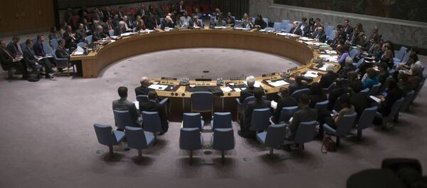 国連安保理 - Sputnik 日本