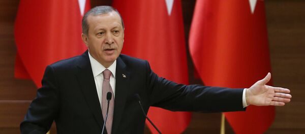 エルドガン大統領 エルドガン大統領 - Sputnik 日本