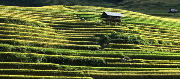 ベトナム - Sputnik 日本