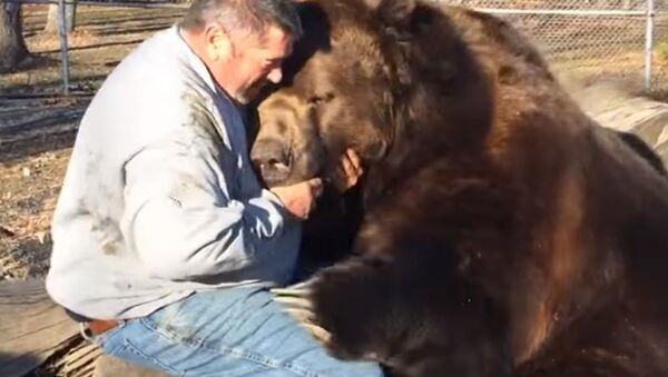 巨大なクマと遊ぶ男性－ぬいぐるみのクマと遊んでいるみたい - Sputnik 日本