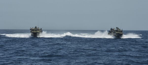 イラン、米国に水域「侵犯」の謝罪要求 - Sputnik 日本