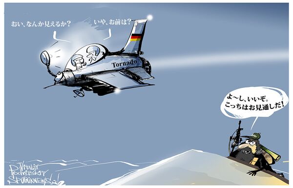 まぶしい偵察機 - Sputnik 日本