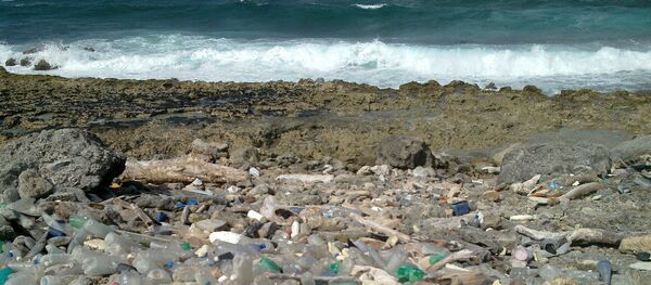 プラスチック プラスチック - Sputnik 日本